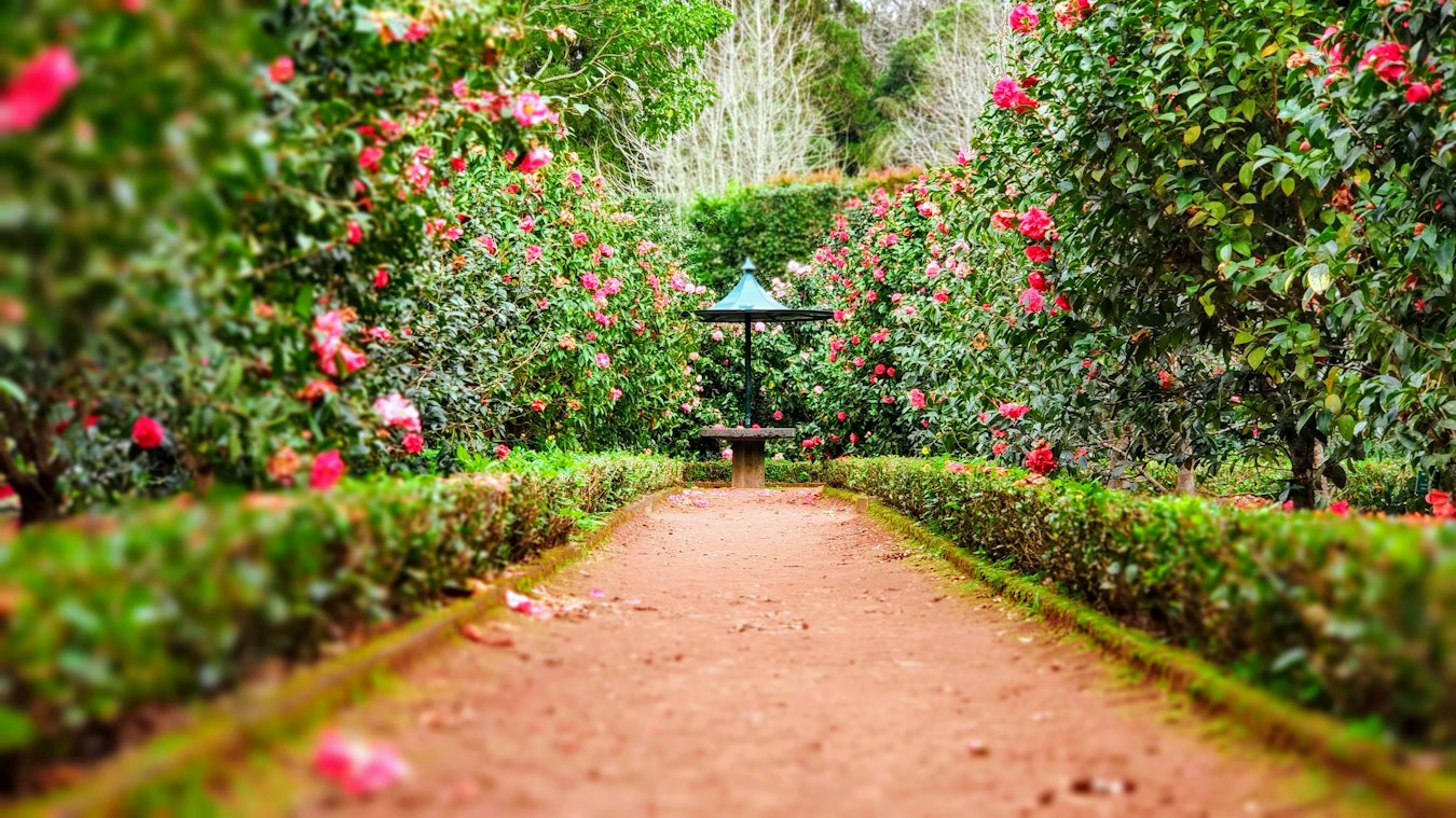 Jardin contemporain